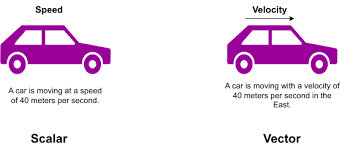 Beyond the Needle: Exploring What a Speedometer Measures and How It Powers Modern Automation