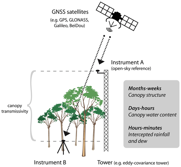 The Canopy Crisis: Are GPS Speedometers Accurate Under Trees?